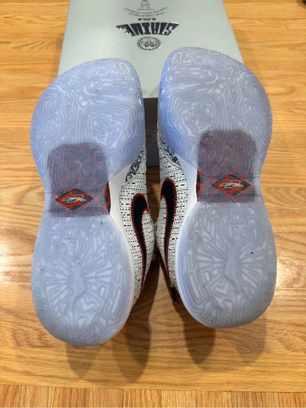 Nike LeBron XX Men’s Size 11